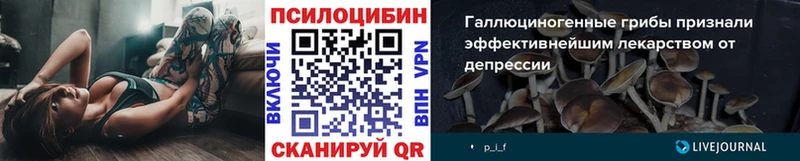 Галлюциногенные грибы Psilocybe  Кинель 