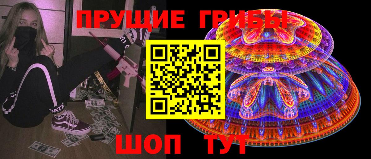 Кинель  наркота  Вход с VPN  Галлюциногенные грибы мицелий 